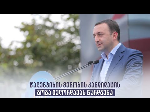 წალენჯიხის მერობის კანდიდატის გოგა გულორდავას წარდგენა